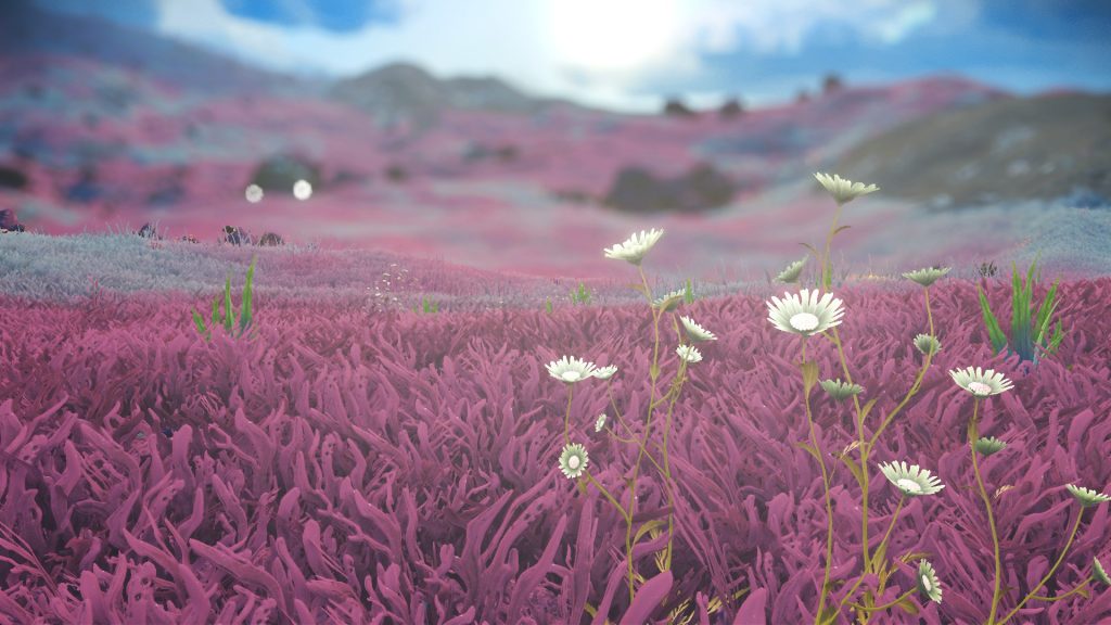 No Man's Sky game flowers